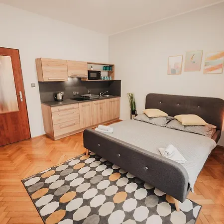 Elegant Studio, 400m From The Square Plzeň