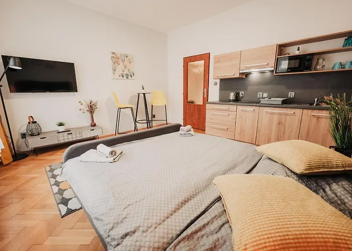 Elegant Studio, 400m From The Square Plzeň